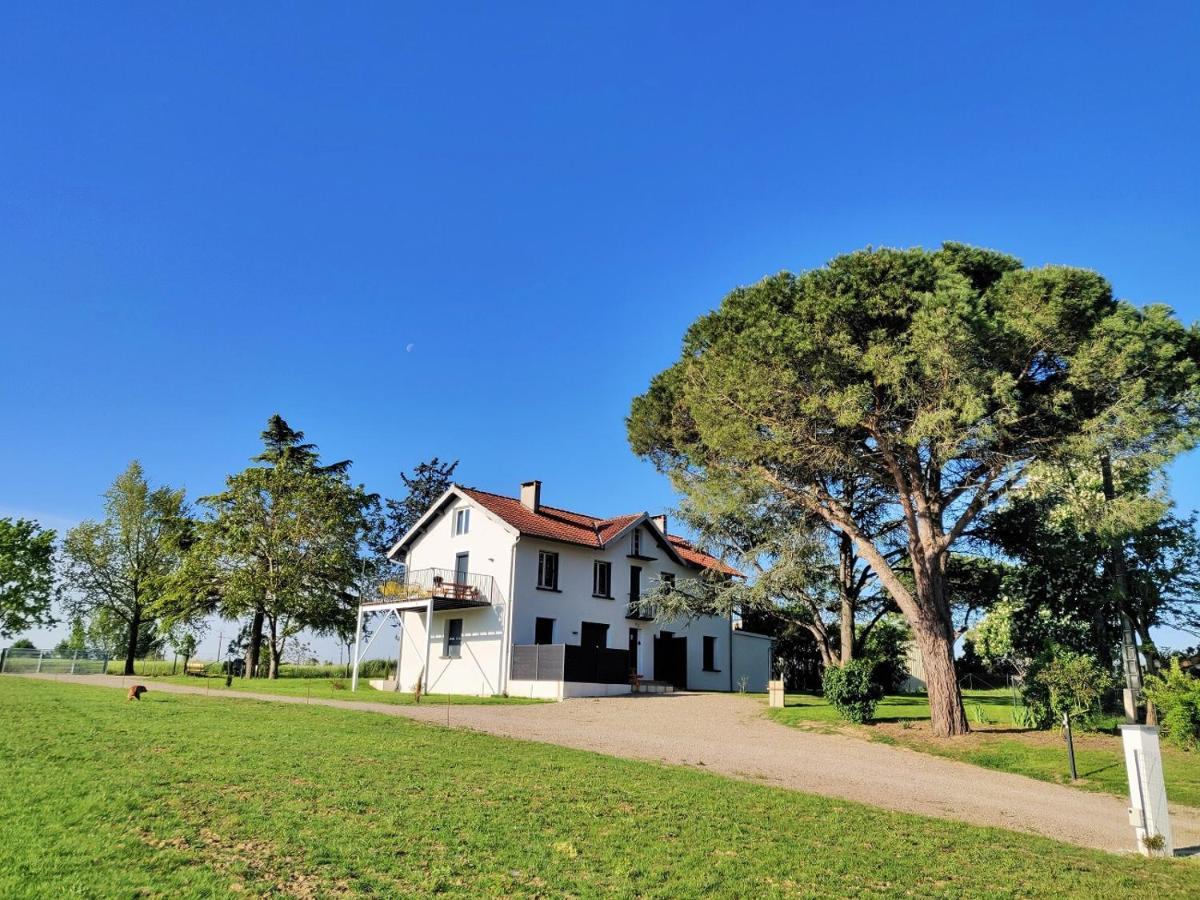 Le Cottage Nature Primeur Gaillac entre Albi / Toulouse Brens  Extérieur photo