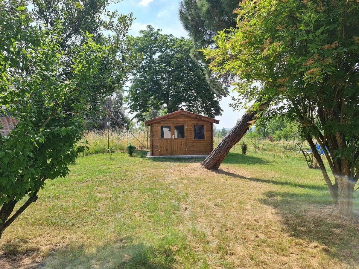 Le Cottage Nature Primeur Gaillac entre Albi / Toulouse Brens  Extérieur photo